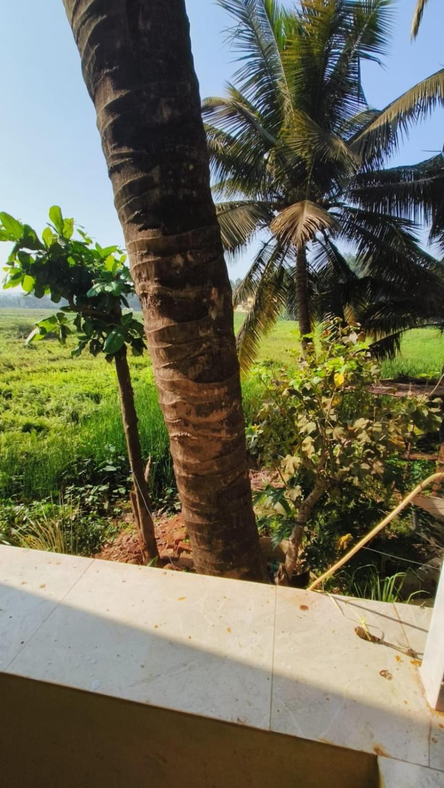 Green Field View Candolim Exterior foto