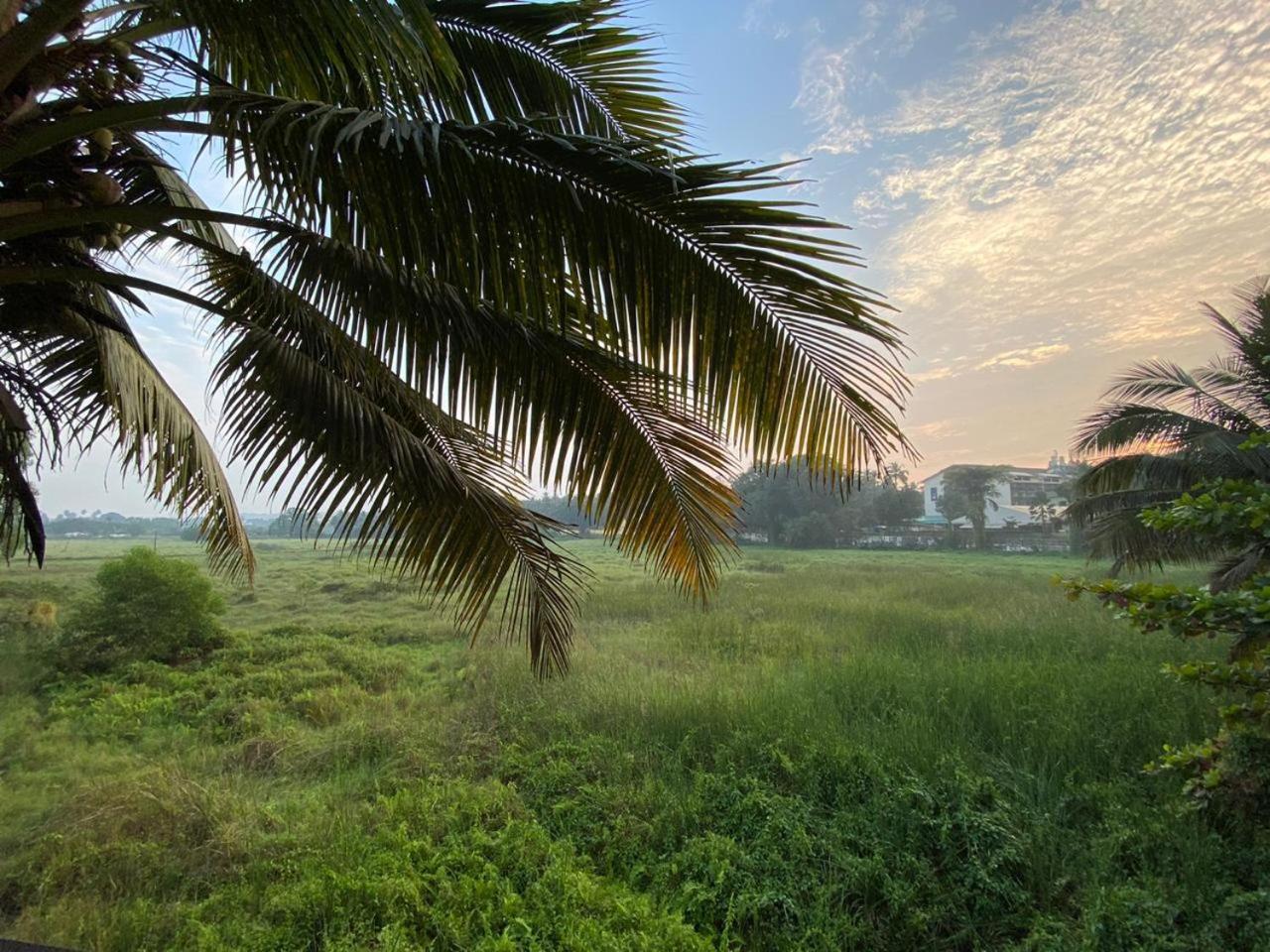 Green Field View Candolim Exterior foto