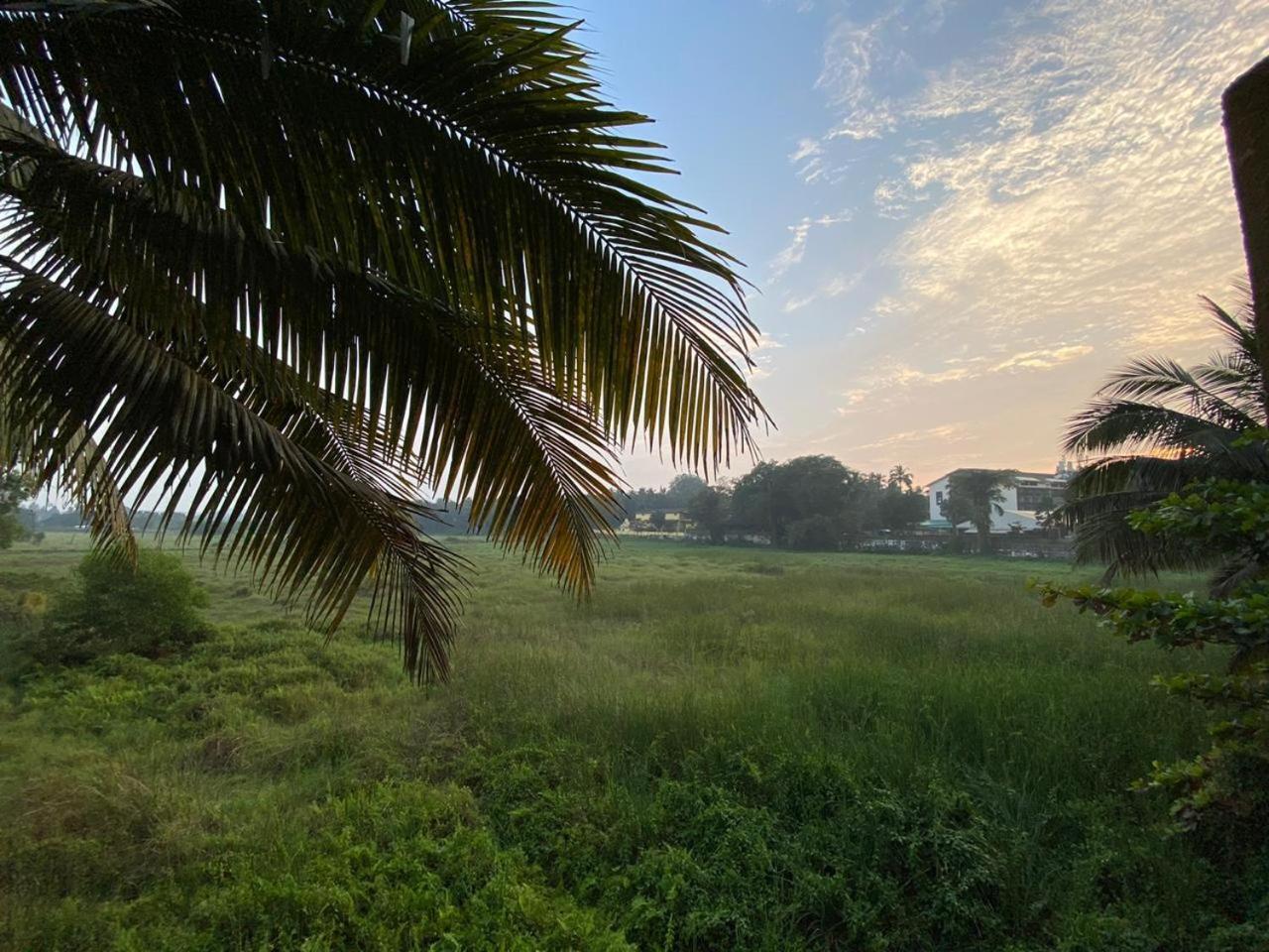 Green Field View Candolim Exterior foto